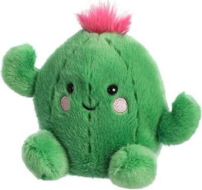 Green plush cactus with a pink flower crown