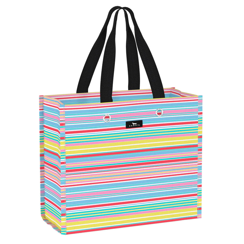 Large Package Gift Bag - Ripe Stripe