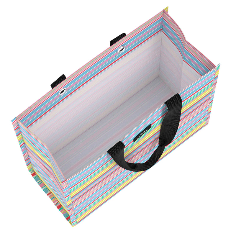 Large Package Gift Bag - Ripe Stripe