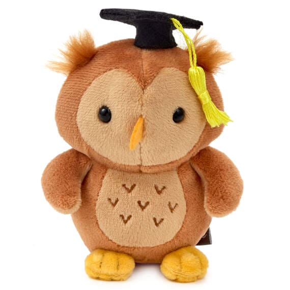 Hallmark Wise Owl Plush Graduation Gift Card Holder – Banner's