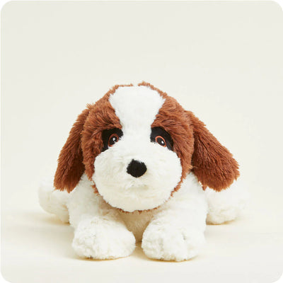 St. Bernard: with brown and white colors