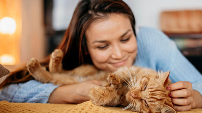 The Best Gifts for Pet Owners