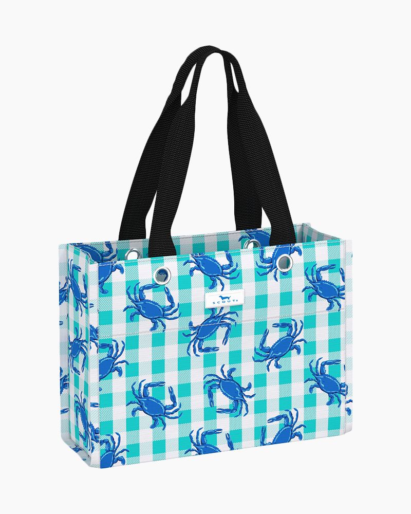 Small reusable gift bag in Leonardo Da Pinchy design with sturdy handles and grommets. Eco-friendly, folds flat, and holds up to 30 lbs.