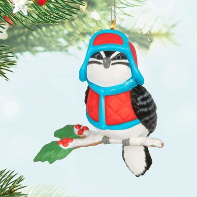 Miniature downy woodpecker ornament in red vest and trapper hat on snowy branch with holly berries, Hallmark Cozy Lil’ Critters
