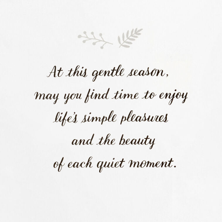 Cardinals on Pine Branches Boxed Christmas Cards, Pack of 12