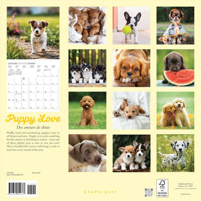 Puppy Love 12 x 12 Wall Calendar