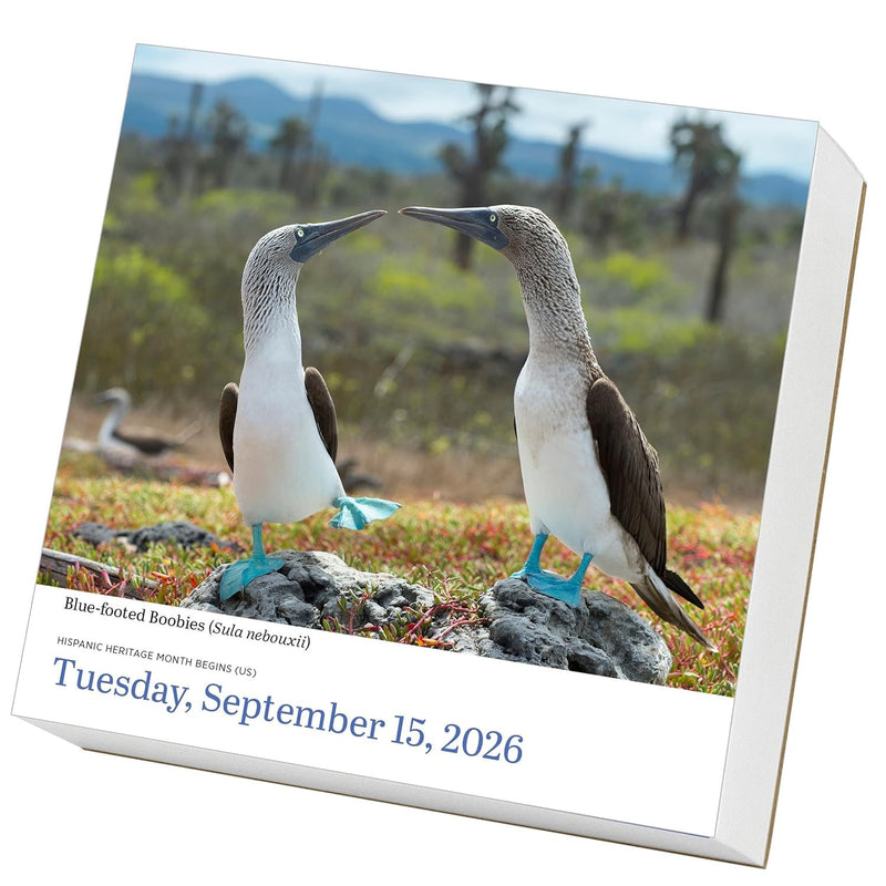 Audubon Birds 2026 Page-a-Day Desk Calendar
