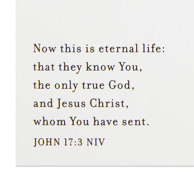 Baby Jesus in the Manger Religious Boxed Christmas Cards, Pack of 16