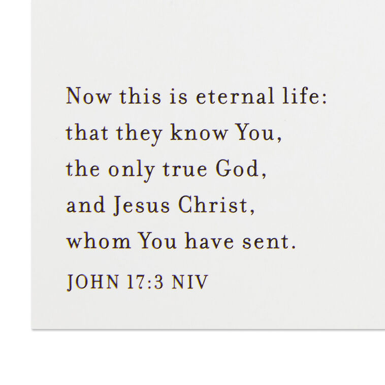 Baby Jesus in the Manger Religious Boxed Christmas Cards, Pack of 16