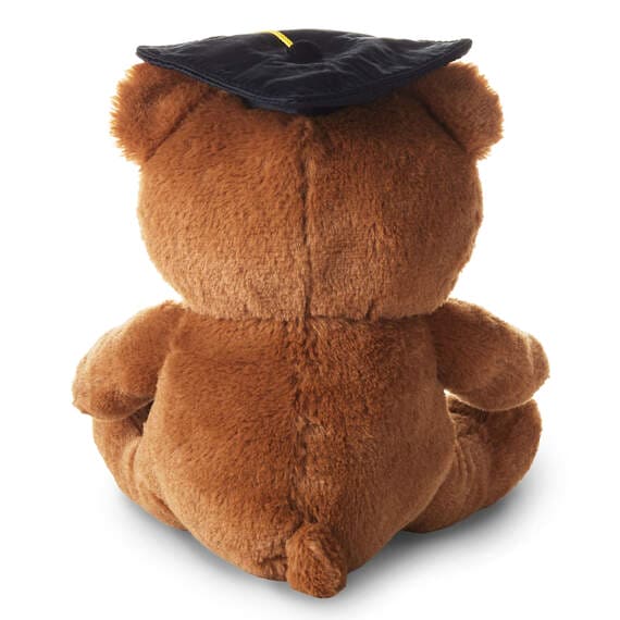 Brown teddy bear wearing a black graduation cap