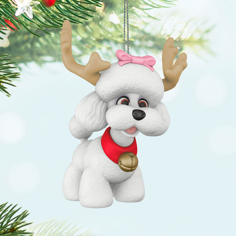 White poodle Christmas ornament wearing reindeer antlers and jingle bell collar, festive holiday decoration

