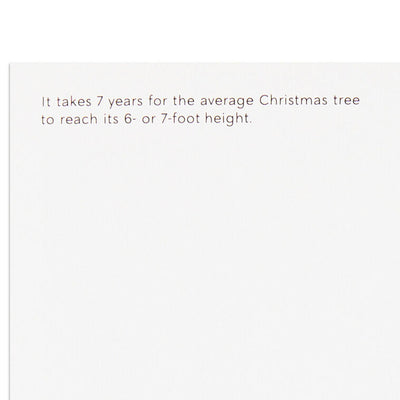 UNICEF Here Comes Christmas Boxed Christmas Cards, Pack of 12