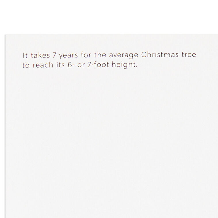 UNICEF Here Comes Christmas Boxed Christmas Cards, Pack of 12