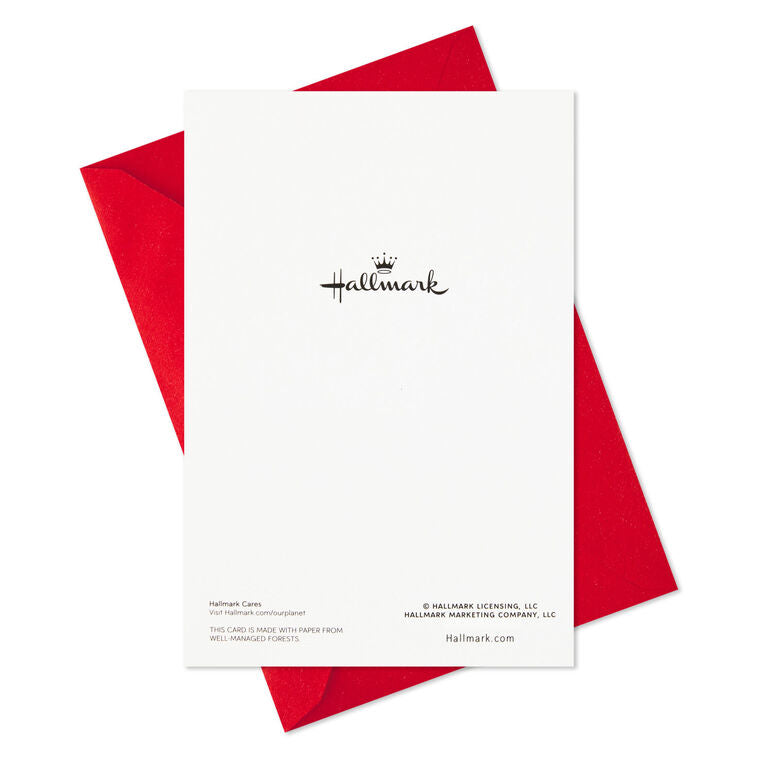 Jolly Santa Claus Boxed Christmas Cards, Pack of 16