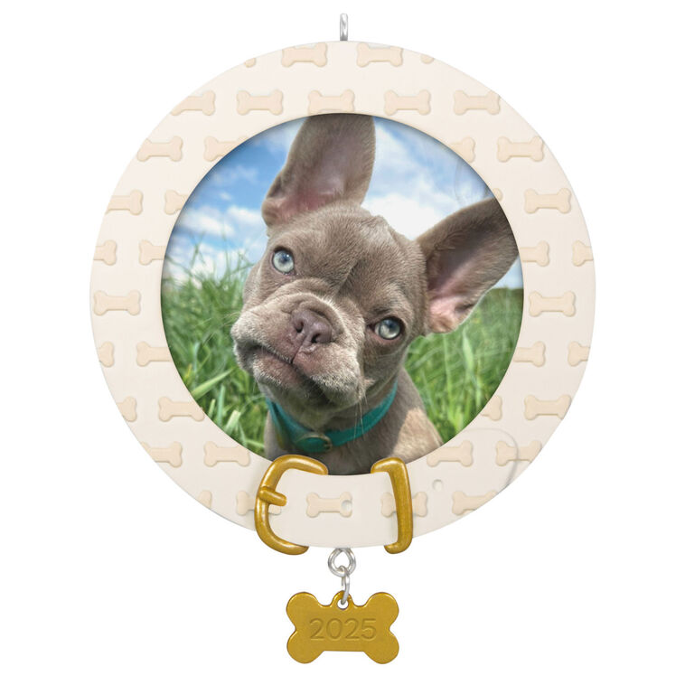 Dog photo frame ornament with bone-shaped charm and collar design, year-dated 2025 for pet’s first Christmas keepsake

