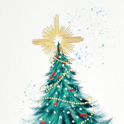 Elegant Evergreen With Star Packaged Christmas Cards, Set of 5