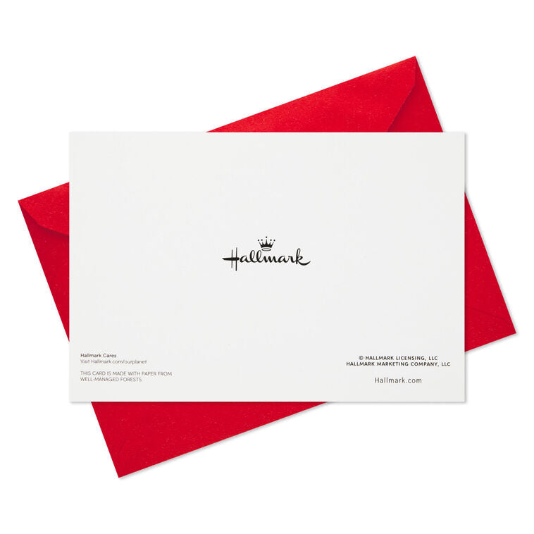 Cozy Snowman and Flurries Boxed Christmas Cards, Pack of 40