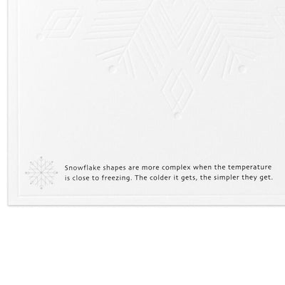 UNICEF Rainbow Snowflake Boxed Holiday Cards, Pack of 20