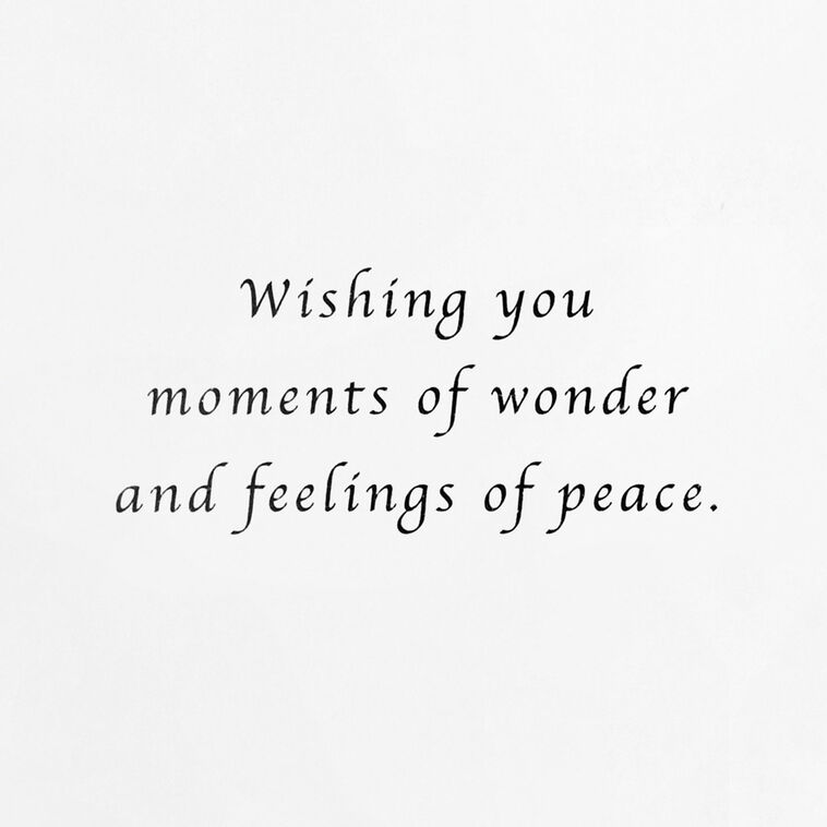 Stately Deer in Snow Boxed Christmas Cards, Pack of 12