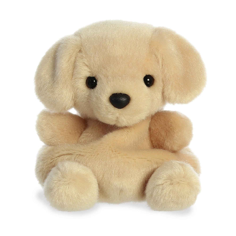 Small brown plush dog sitting on a white surface. 