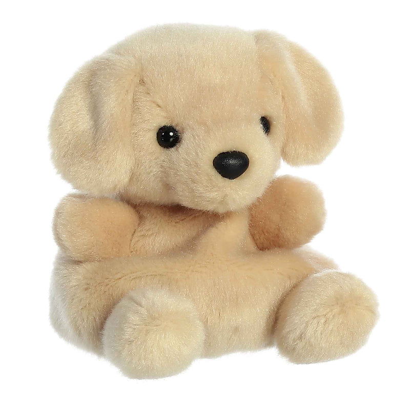 Small brown plush dog sitting on a white surface. 