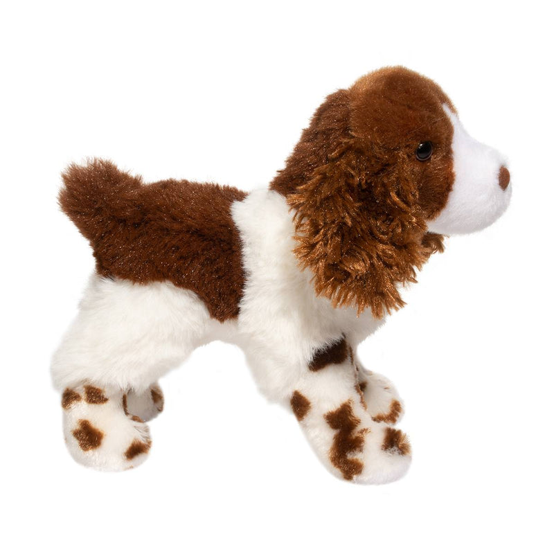 Flair Springer Spaniel