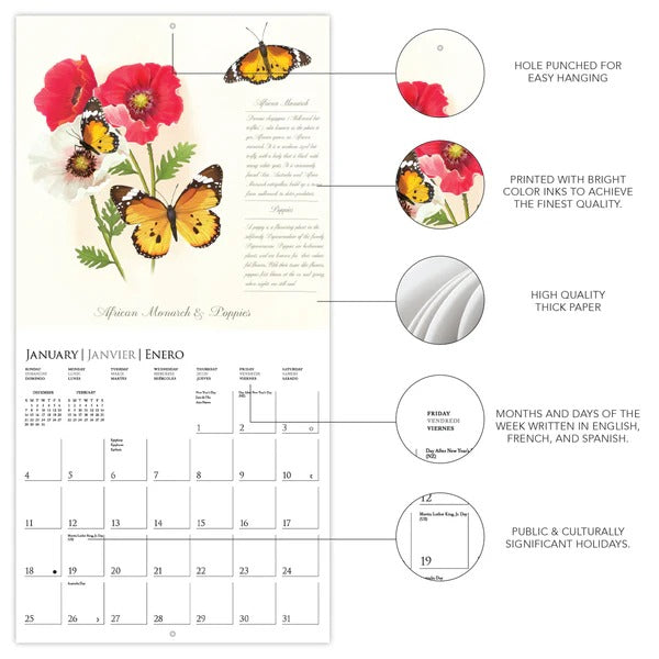 Butterflies 12 x 12 Wall Calendar