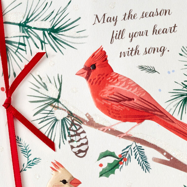 Cardinals on Pine Branches Boxed Christmas Cards, Pack of 12