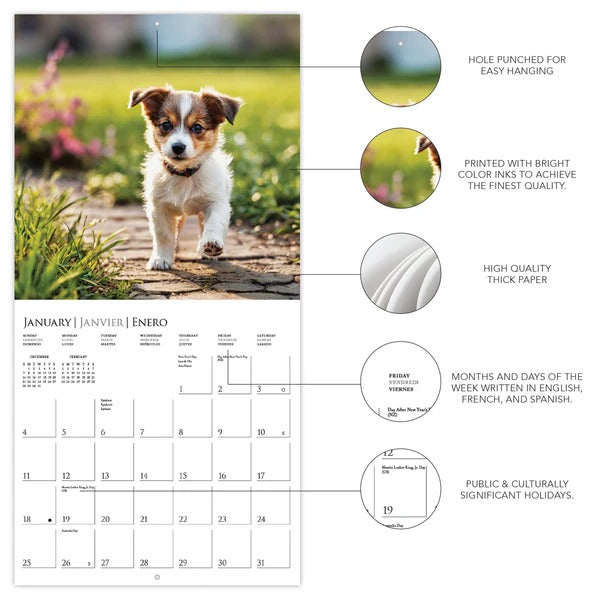 Puppy Love 12 x 12 Wall Calendar