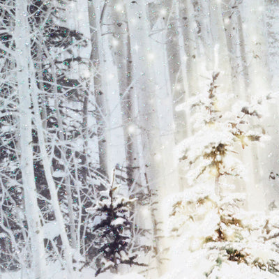 Snowy Pine Tree Blessings Everywhere Boxed Christmas Cards, Pack of 16