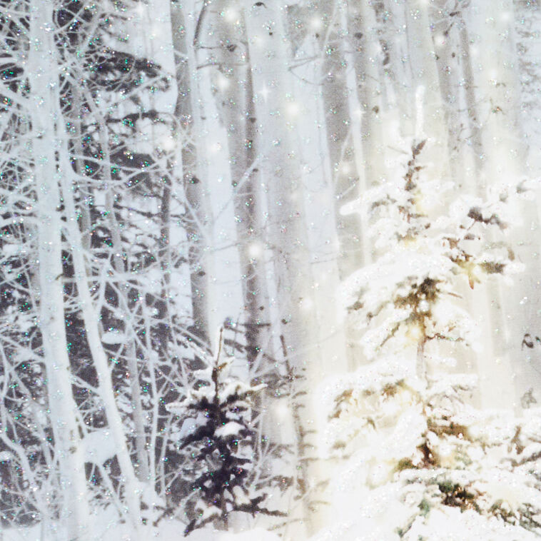 Snowy Pine Tree Blessings Everywhere Boxed Christmas Cards, Pack of 16