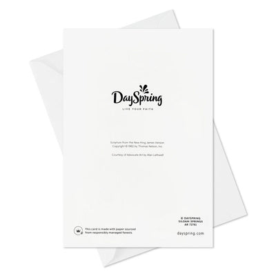 DaySpring A Savior Born to You Boxed Christmas Cards, Pack of 16