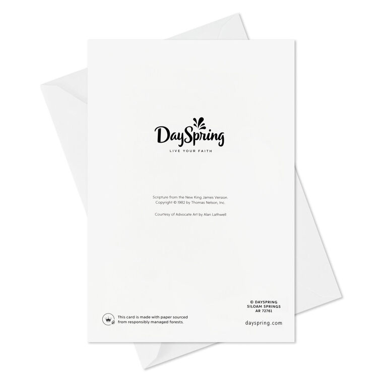 DaySpring A Savior Born to You Boxed Christmas Cards, Pack of 16