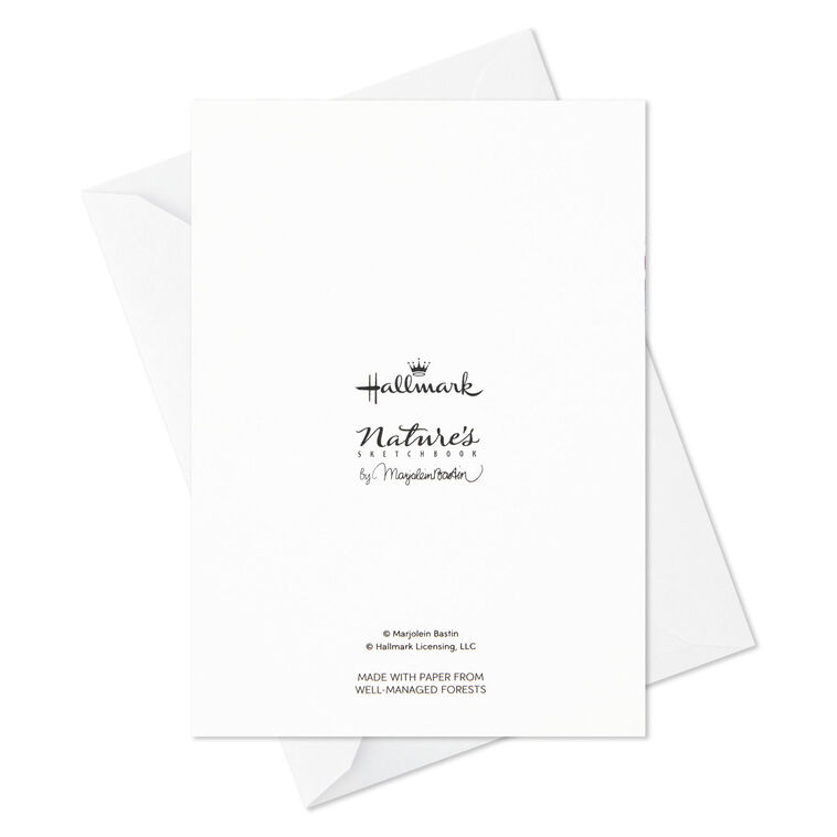 Marjolein Bastin Holiday Boxed Blank Christmas Note Cards Assortment, Pack of 24