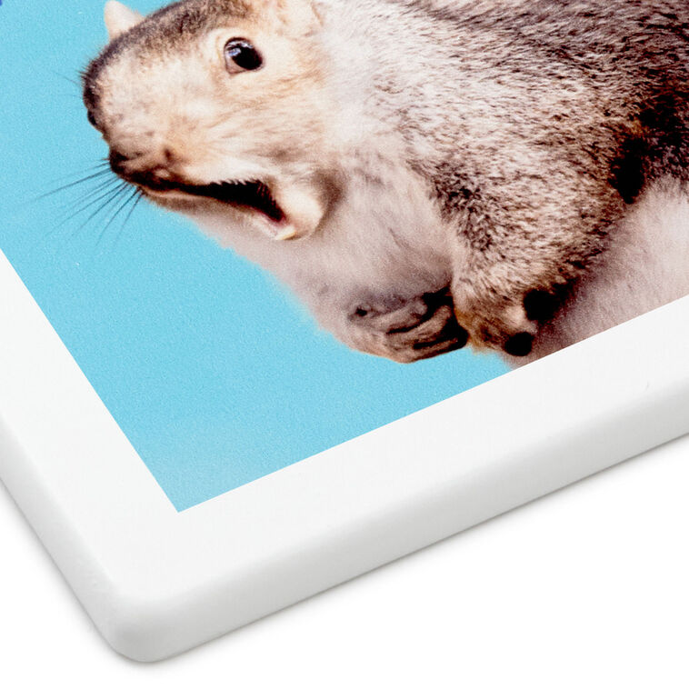 Square drink coaster with photo of a squirrel singing and the message “IIIIIEEEEEEIIIII will always love you.”