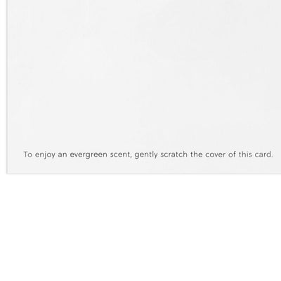 Greenery Wreath Pine-Scented Boxed Christmas Cards, Pack of 12