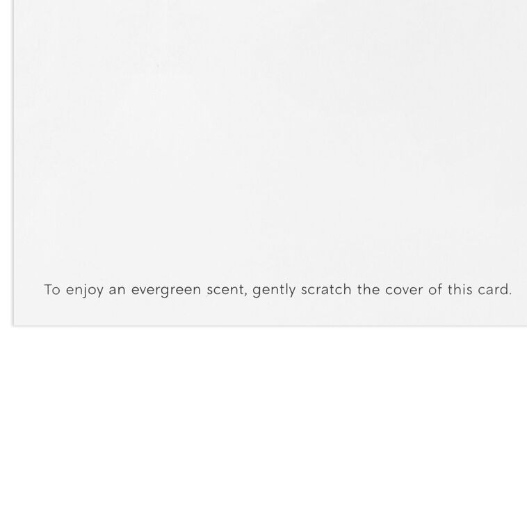 Greenery Wreath Pine-Scented Boxed Christmas Cards, Pack of 12