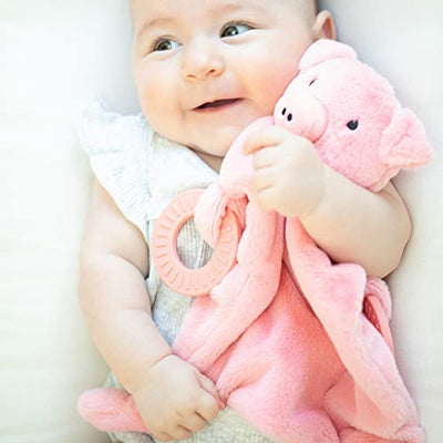 Adorable Penny the Pig teether with rattling head, soft plush body, and textured silicone teething rings.