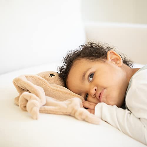 Adorable plush Bernie the Bear teether with rattling head, soft cuddle fabric, and textured silicone teething rings.