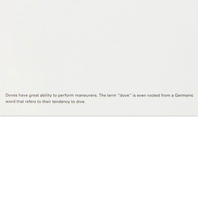 UNICEF Peace Dove on Red Boxed Christmas Cards, Pack of 12