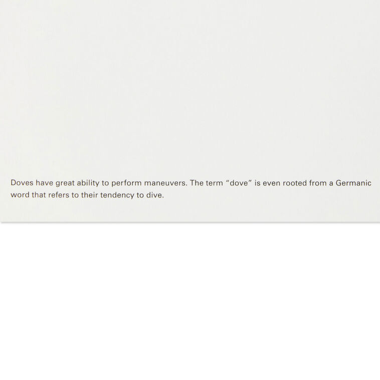 UNICEF Peace Dove on Red Boxed Christmas Cards, Pack of 12