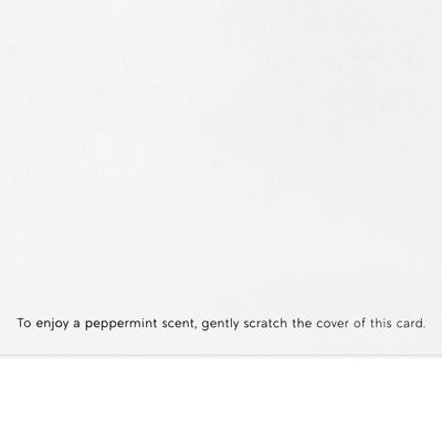 Candy Canes on Pink Scented Boxed Christmas Cards, Pack of 12