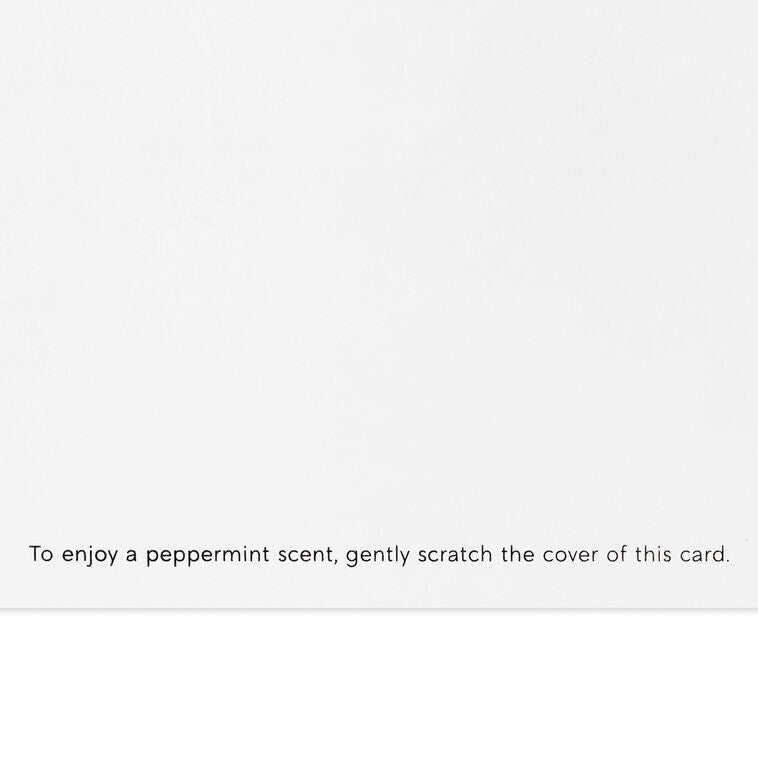 Candy Canes on Pink Scented Boxed Christmas Cards, Pack of 12