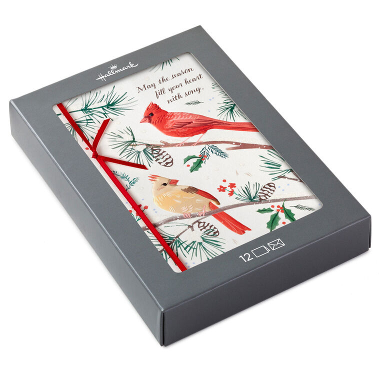 Cardinals on Pine Branches Boxed Christmas Cards, Pack of 12