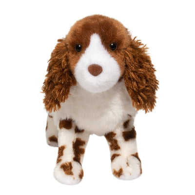 Flair Springer Spaniel