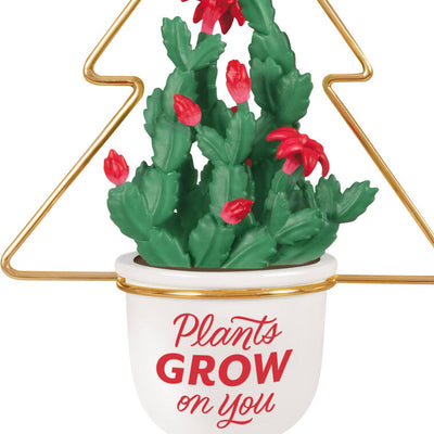 Christmas cactus ornament with red blooms in white planter and gold wire hanger, botanical holiday decor

