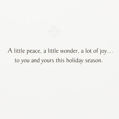 Silver Snowflakes Boxed Holiday Cards, Pack of 40