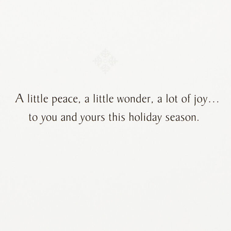 Silver Snowflakes Boxed Holiday Cards, Pack of 40