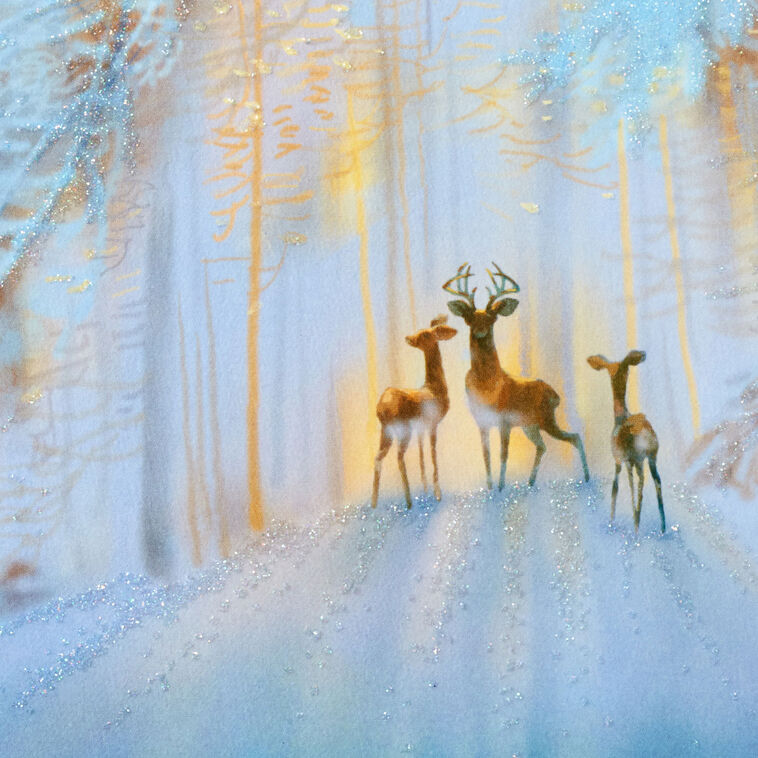 UNICEF Deer in Snowy Woods Boxed Christmas Cards, Pack of 20