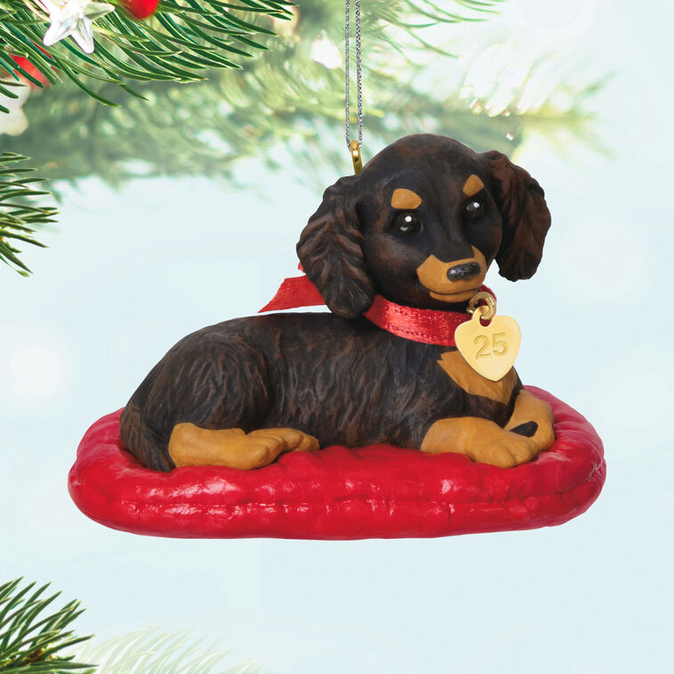Hallmark Keepsake ornament of long-haired dark and light brown dachshund on red dog bed, red bow with 2025 heart charm